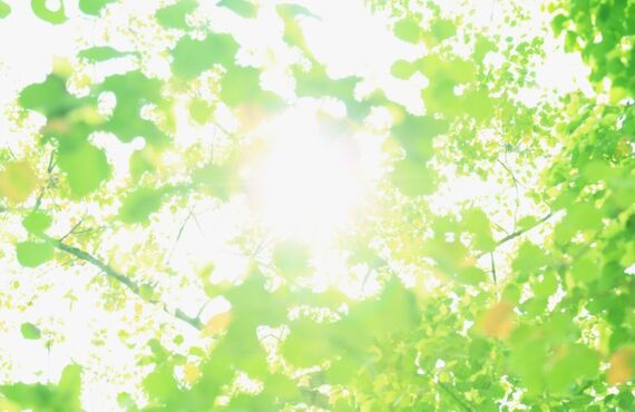 一宮市でリフォーム、解体の業者をお探しの方はご相談ください